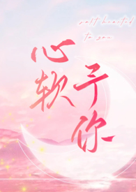 星瑞一年花销